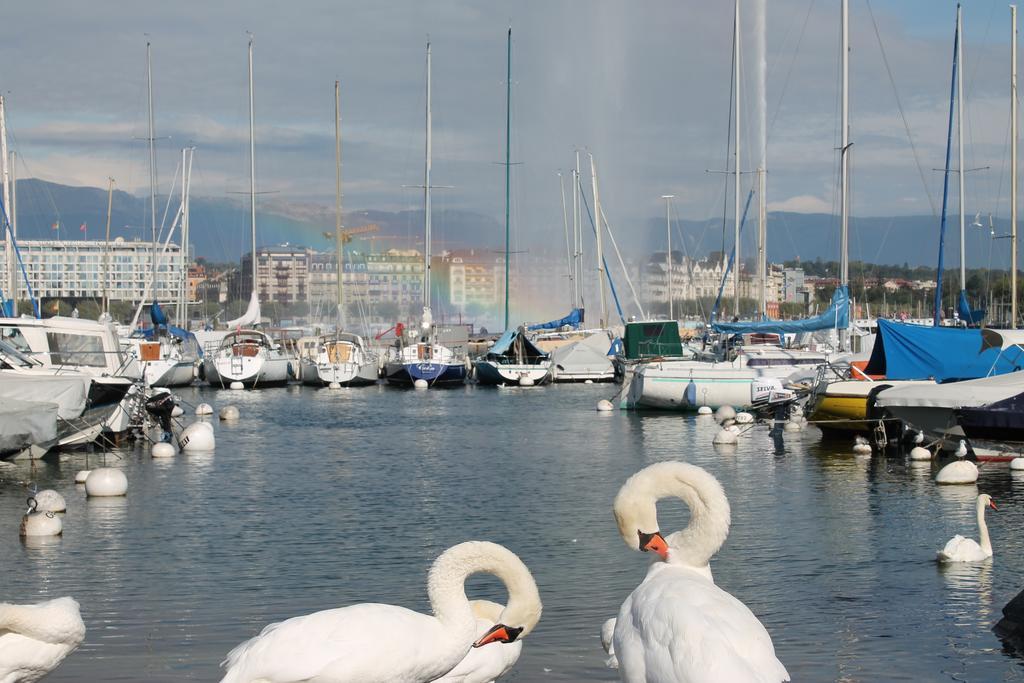 The New Midi Genève