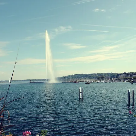 The New Midi 4* Geneva